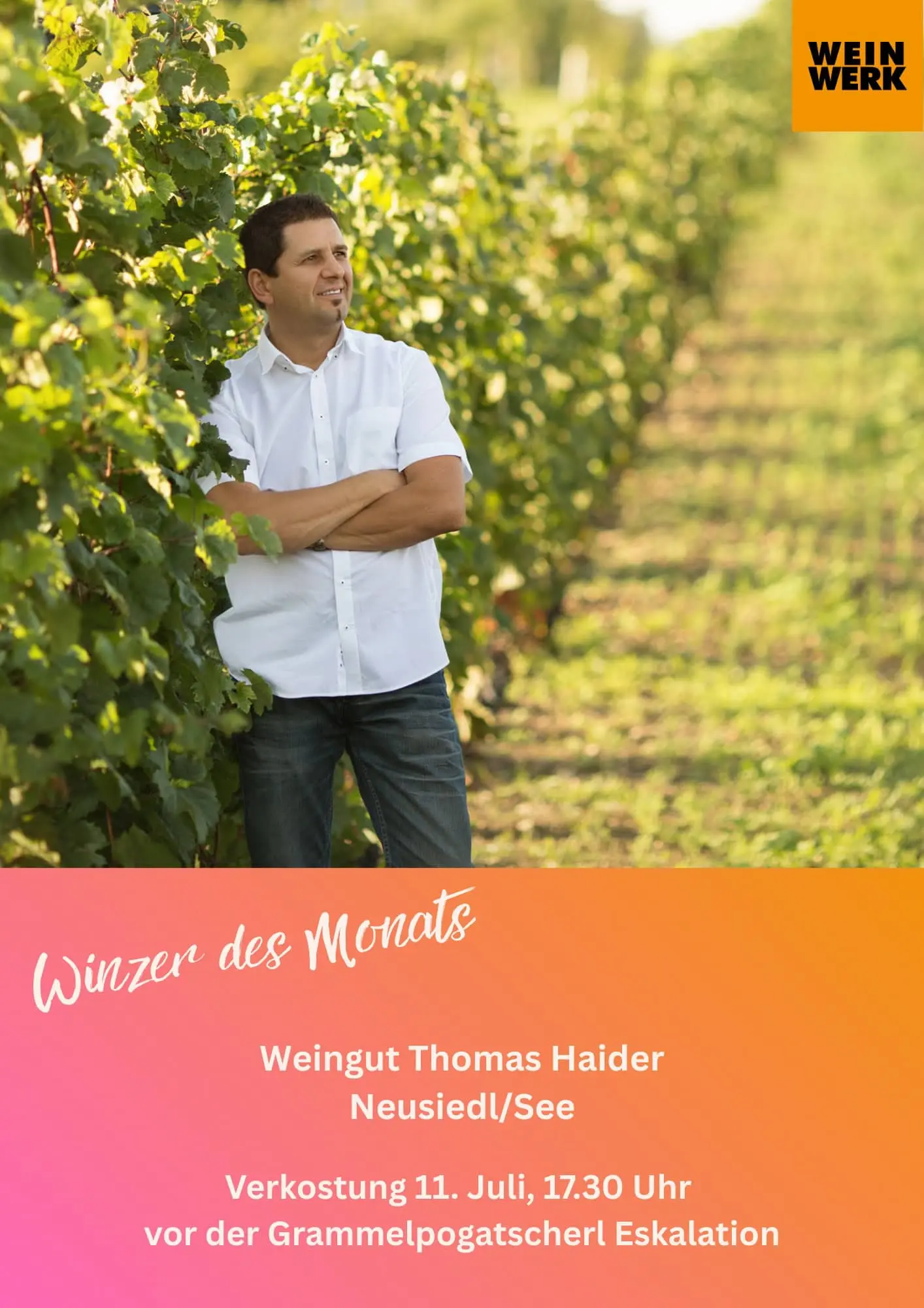 Weinverkostung Thomas Haider